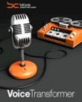 Voice Transformer