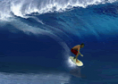 Surf Stud